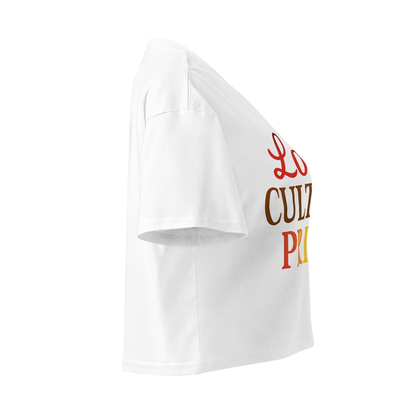 LoveCulturePride Crop top